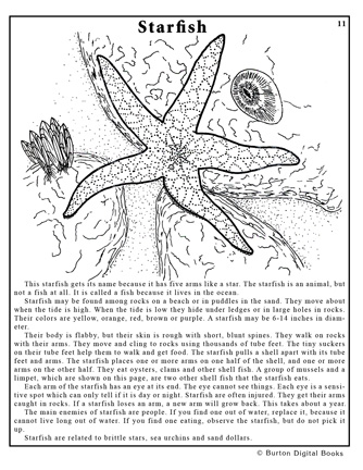 tplpage11