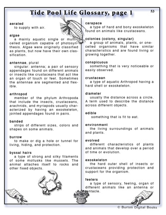 tplpage53glossary1