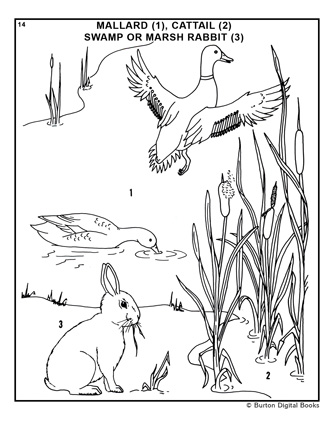 plpg14